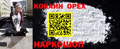прущие крисы Камышлов