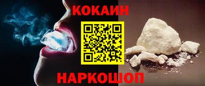шишки Кандалакша