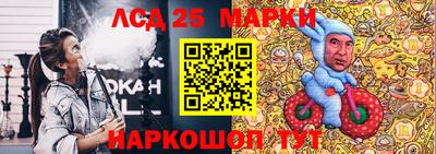 шишки Кандалакша