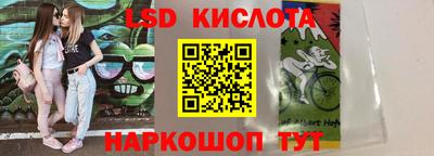 шишки Кандалакша