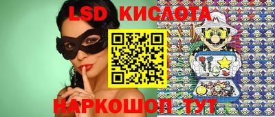 прущие крисы Камышлов