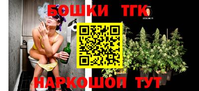 прущие крисы Камышлов