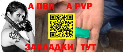 шишки Кандалакша