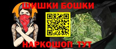 прущие крисы Камышлов