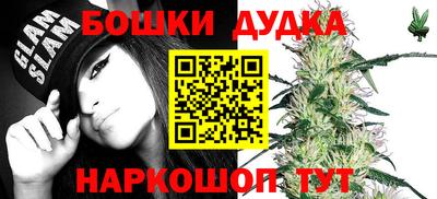прущие крисы Камышлов